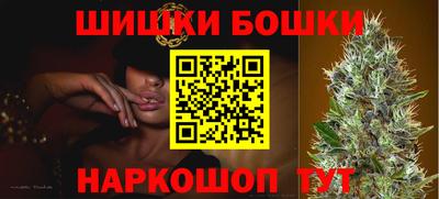 гидра Будённовск